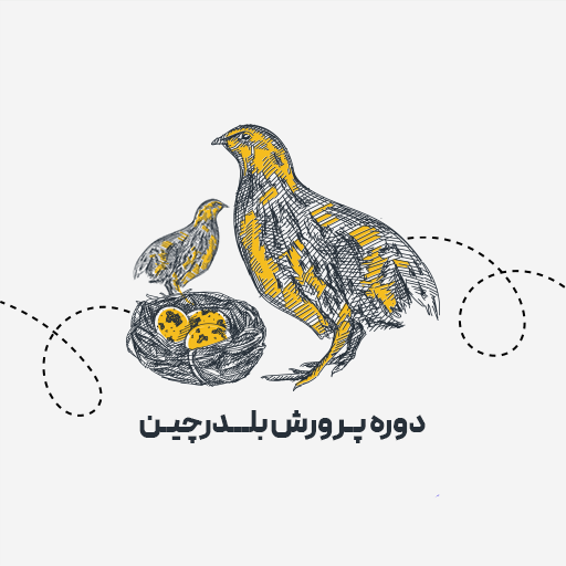 پرورش بلدرچین